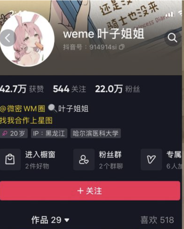 叶子姐姐 微密圈最新合集-瞬颜部落