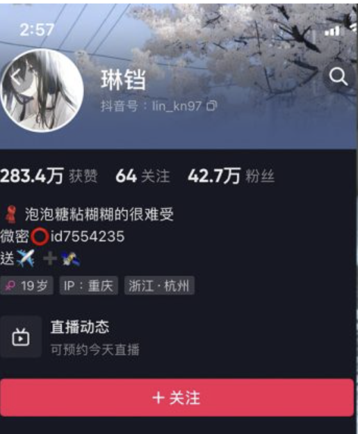 琳铛 – 微密圈合集-瞬颜部落